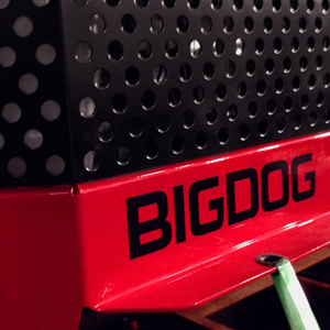 BIGDOG Engine Grill